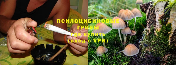 эйфоретик Волосово