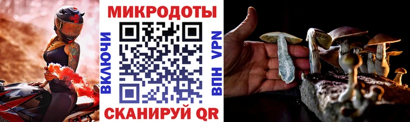 как найти   Заинск  Псилоцибиновые грибы прущие грибы 